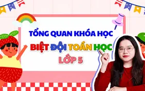 Khóa học video Toán 5 (Biệt đội Toán hoc 5)