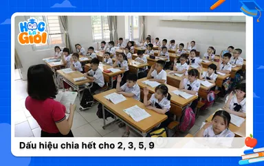 Cách xác định dấu hiệu chia hết cho 2, 3, 5, 9 chính xác nhất