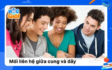 Khám phá mối liên hệ giữa cung và dây