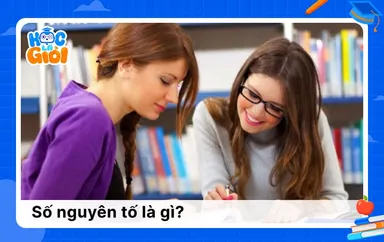 Số nguyên tố là gì? Bảng số nguyên tố trong toán học