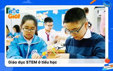 Vai trò của giáo dục STEM ở tiểu học với sự phát triển của trẻ