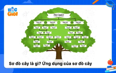 Sơ đồ cây là gì? Đặc điểm và ứng dụng của sơ đồ cây 