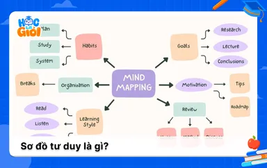 Sơ đồ tư duy là gì? Đặc điểm, ứng dụng và cách dùng cụ thể