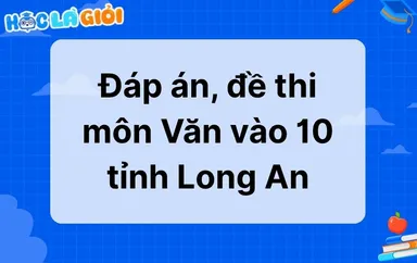 Đáp án, đề thi môn Văn vào 10 tỉnh Long An 2025