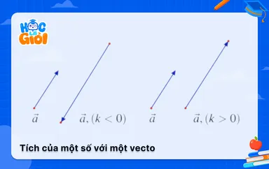 Hướng dẫn tính tích của một số với một vectơ lớp 10 từ A-Z