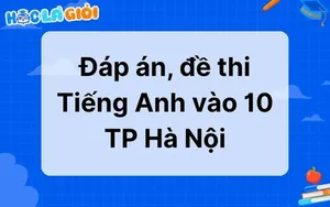 Đáp án, đề thi Tiếng Anh vào 10 tỉnh TP Hà Nội 2025
