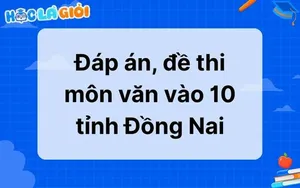 Đáp án, đề thi môn Văn vào 10 tỉnh Đồng Nai 2025