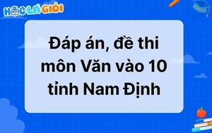 Đáp án, đề thi môn Văn vào 10 tỉnh Nam Định 2025