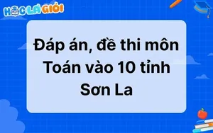 Đáp án, đề thi môn Toán vào 10 tỉnh Sơn La 2025