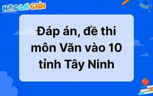Đáp án, đề thi môn Văn vào 10 tỉnh Tây Ninh 2025