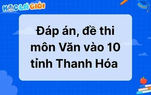 Đáp án, đề thi môn Văn vào 10 tỉnh Thanh Hóa 2025