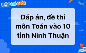 Đáp án, đề thi môn Toán vào 10 tỉnh Ninh Thuận 2025