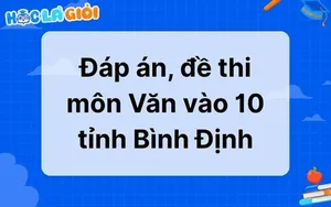 Đáp án, đề thi môn Văn vào 10 tỉnh Bình Định 2025