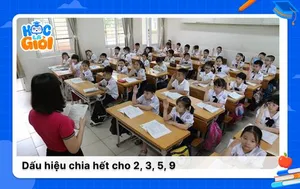 Cách xác định dấu hiệu chia hết cho 2, 3, 5, 9 chính xác nhất