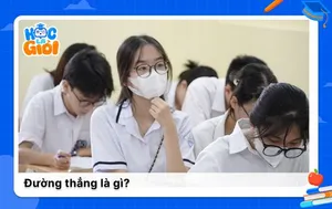 Đường thẳng và những kiến thức nền tảng cần ghi nhớ