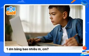 1 dm bằng bao nhiêu m, cm? Cách đổi nhanh và dễ hiểu