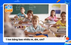 1 hm bằng bao nhiêu m, dm, cm? Các cách quy đổi đơn giản dễ nhớ