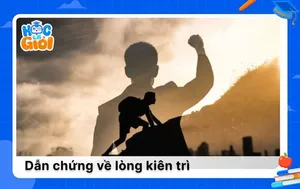 Tổng hợp dẫn chứng về lòng kiên trì trong nghị luận xã hội