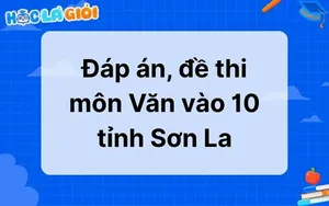 Đáp án, đề thi môn Văn vào 10 tỉnh Sơn La 2025