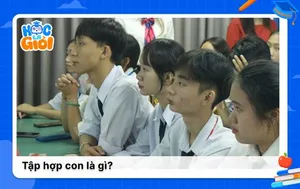 Tập hợp con là gì? Các trường hợp đặc biệt của tập hợp con