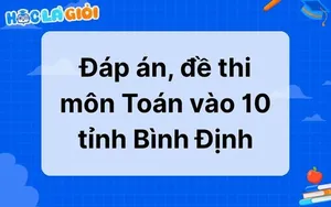 Đáp án, đề thi môn Toán vào 10 tỉnh Bình Định 2025