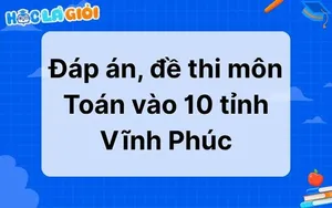 Đáp án, đề thi môn Toán vào 10 tỉnh Vĩnh Phúc 2025