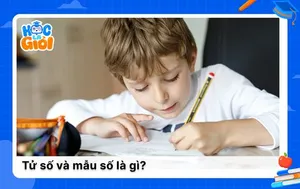 Tử số và mẫu số là gì? Kiến thức nền tảng về phân số