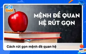Các cách rút gọn mệnh đề quan hệ trong Tiếng Anh kèm bài tập
