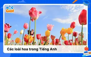 100+ từ vựng về các loài hoa trong Tiếng Anh