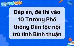 Đáp án, đề thi môn văn vào 10 Trường Phổ thông Dân tộc nội trú tỉnh Bình thuận 2025