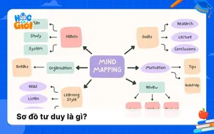 Sơ đồ tư duy là gì? Đặc điểm, ứng dụng và cách dùng cụ thể
