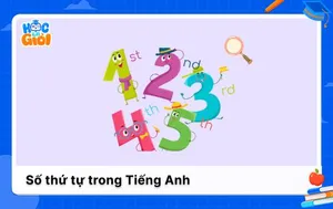 Số thứ tự trong Tiếng Anh, phân biệt số thứ tự và số đếm 