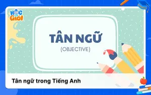 Tân ngữ trong Tiếng Anh là gì? Phân loại và cách dùng cụ thể