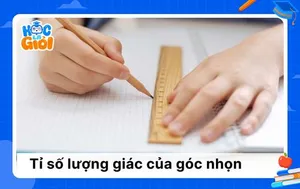 Bí quyết chinh phục tỉ số lượng giác của góc nhọn