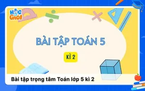 Tổng hợp các dạng bài tập Toán lớp 5 kì 2 trọng tâm