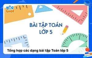 Tổng hợp các dạng bài tập Toán lớp 5 từ cơ bản đến nâng cao