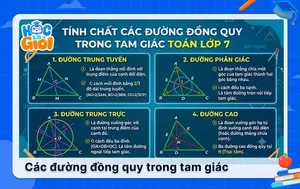 Tính chất các đường đồng quy trong tam giác toán lớp 7