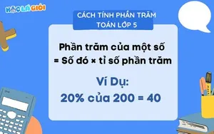 Cách tính phần trăm toán lớp 5 dễ hiểu cho học sinh
