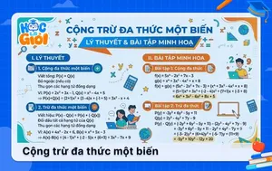 Cộng trừ đa thức một biến: Lý thuyết và bài tập minh hoạ