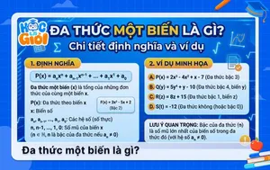 Đa thức một biến là gì? Chi tiết định nghĩa và ví dụ