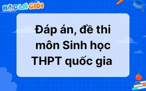 Đáp án, đề thi môn Sinh Học THPT quốc gia 2025