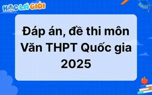 Đáp án, đề thi môn Văn THPT Quốc gia 2025