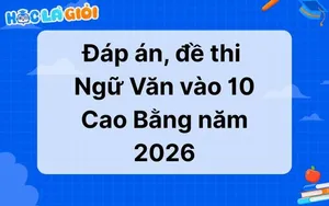 Đáp án, đề thi Ngữ Văn vào 10 Cao Bằng 2026-2027