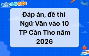 Đáp án, đề thi Ngữ Văn vào 10 TP Cần Thơ 2026-2027