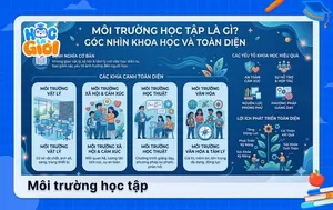 Môi trường học tập là gì? Góc nhìn khoa học và toàn diện