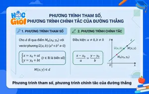 Phương trình tham số, phương trình chính tắc của đường thẳng