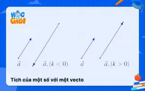 Hướng dẫn tính tích của một số với một vectơ lớp 10 từ A-Z