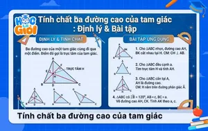 Tính chất ba đường cao của tam giác: Định lý & Bài tập