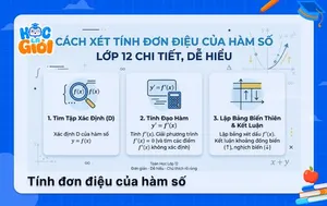 Cách xét tính đơn điệu của hàm số lớp 12 chi tiết, dễ hiểu