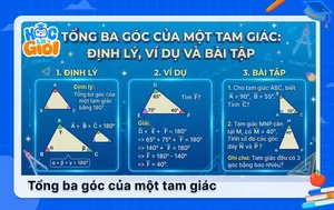 Tổng ba góc của một tam giác: Định lý, ví dụ và bài tập